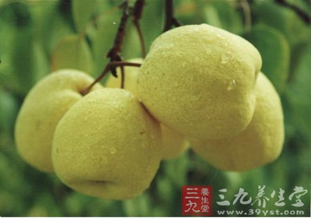 入秋各种水果食用禁忌