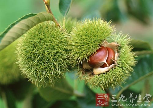 入秋各种水果食用禁忌