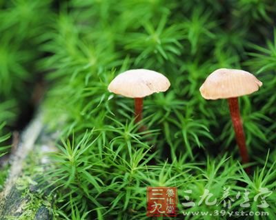 秋天养生美味食物