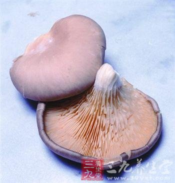 秋天吃什么菜好 蘑菇豆腐洋葱好吃没负担