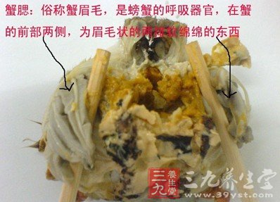 国庆节安全享受螃蟹宴