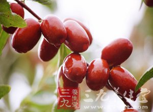 必须知道的生活养生小常识 常吃枣颜不老