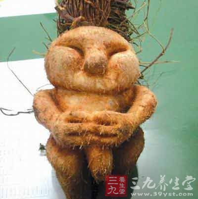 神奇中医养生药材