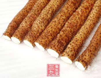 中药养生要看体质