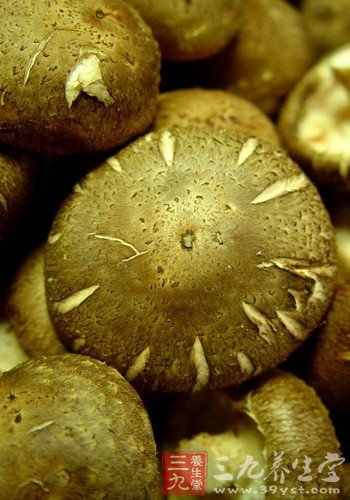 女人必吃的几款美味抗衰老食物