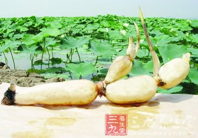 食物寒热 中医教你调节体温