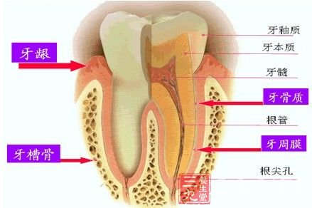 什么时间刷牙才最科学