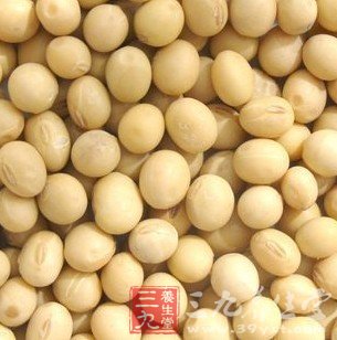 7类营养食品 女人该吃