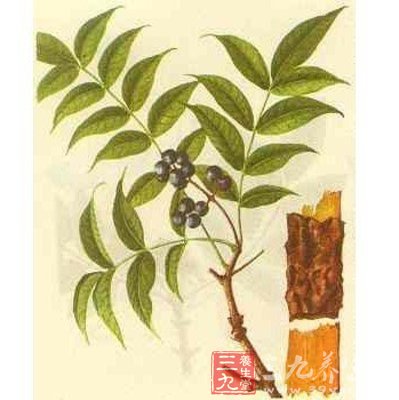 8款鲜为人知的中医养颜秘方