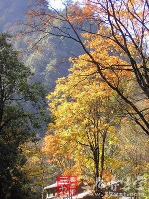 霜降节气征候