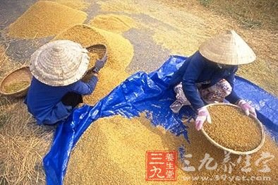 保健六要点成就不老传说
