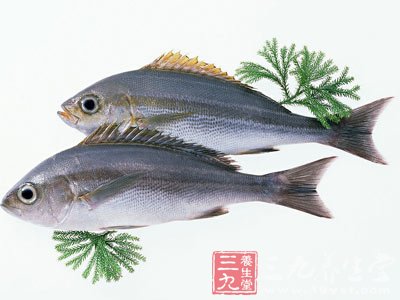 海鲜图片大全_青岛海鲜美食图片大全_海鲜鱼图片大全