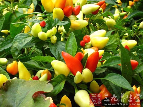 http://img.39yst.com/uploads/allimg/131010/15552015D-4.jpg_