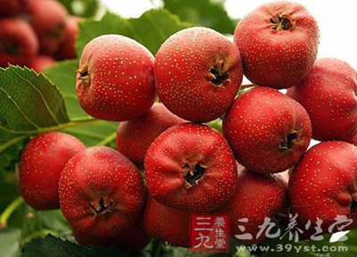 6种好食物吃掉你的痘痘