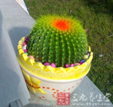 十个方法预防电脑辐射