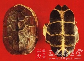 女人补肾 十大食物显奇效