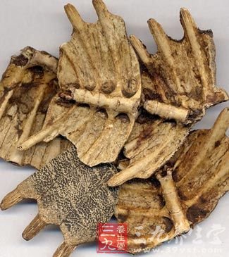 女人补肾 十大食物显奇效