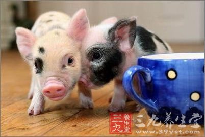 日常生活小常识 揭秘健康长寿的养生秘诀