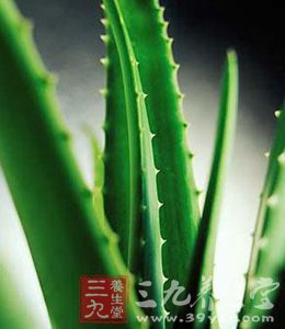 8种美白水果 能使皮肤变白