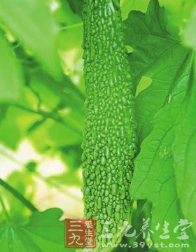 9款日常美食 排毒养颜首选的佳品