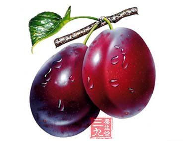 李子奇效抗氧抗衰