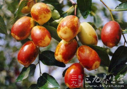 冬季养生秘诀 记住5个小常识