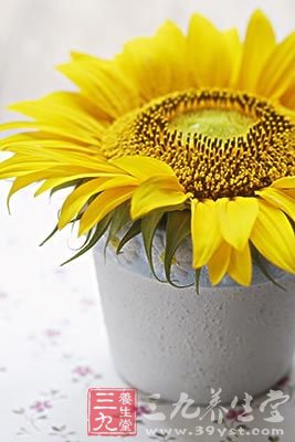 孕期饮食禁忌 孕妈妈勿碰这13种食品