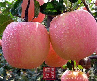 从今天开始 一天一苹果