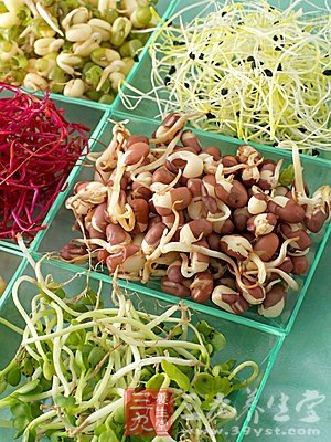 10种适合冬季吃的蔬菜