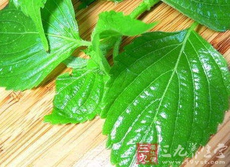 药食同源好材料 六味中药食材滋润全身心
