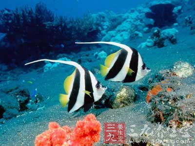 细节决定你的寿命 能活到99岁的15个征兆