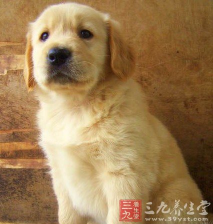 盘点延年益寿九步法