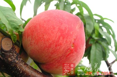 十大水果与体质十大巧搭配