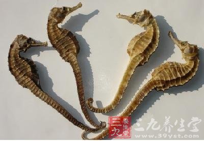 冬饮补酒 中医进补法之一