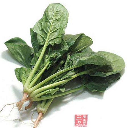 冬季饮食指南 今年冬天吃什么好