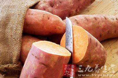 六种常见营养素中的食物冠军