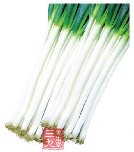 葱白 从厨房到药箱致病良药
