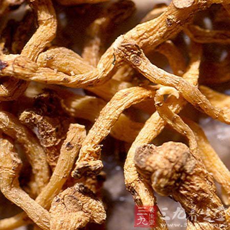 中医6大“仙草” 让你长生不老