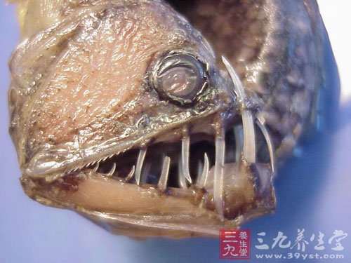 这些营养品尝尝被你丢弃