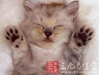 14个健康生活方式是长寿的秘诀