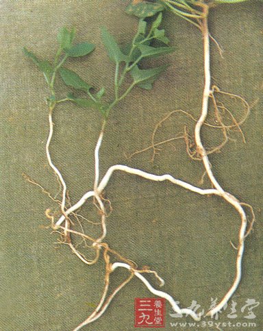 八款健康野菜食谱