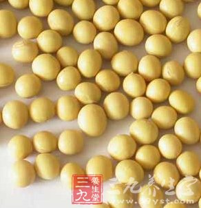 植物牛奶 揭秘大豆的营养养生功能