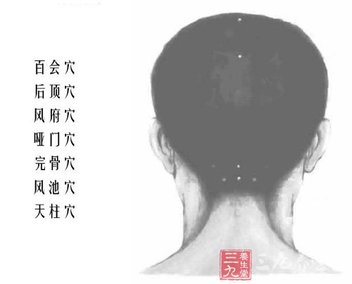 头部穴位图解(背面 )