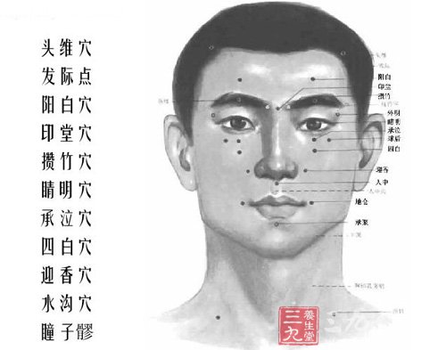 头部穴位图解(正面)
