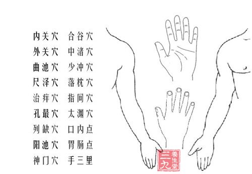 人体上肢穴位图解