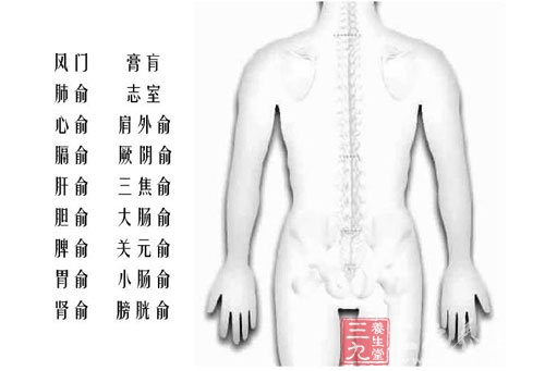 人体后背穴位图解