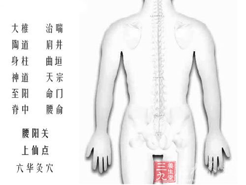 人体背部穴位图解