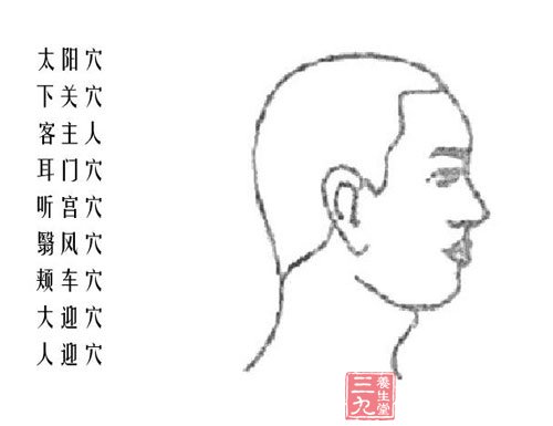 头部颈部穴位图解