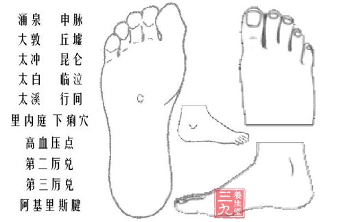 人体足部穴位图解