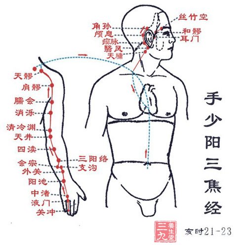 手少阳三焦经穴位图